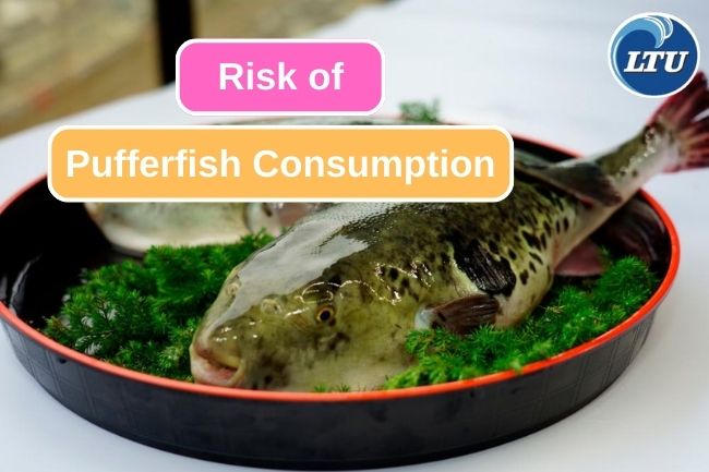 Stay Alert for The Risk of Pufferfish Consumption 